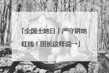 全国土地日丨严守耕地红线！田长这样说→