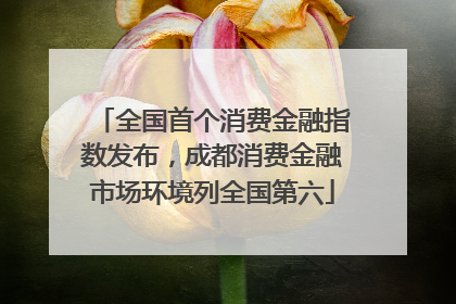 全国首个消费金融指数发布，成都消费金融市场环境列全国第六