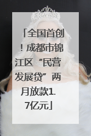 全国首创！成都市锦江区“民营发展贷”两月放款1.7亿元