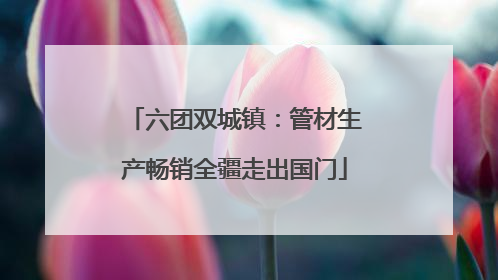 六团双城镇：管材生产畅销全疆走出国门