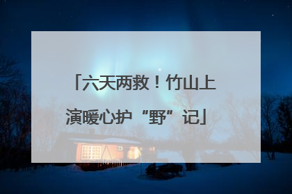 六天两救！竹山上演暖心护“野”记