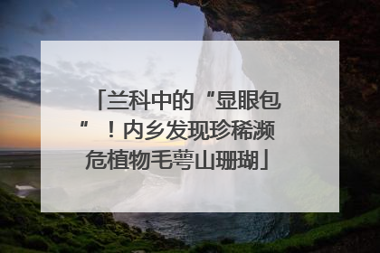 兰科中的“显眼包”！内乡发现珍稀濒危植物毛萼山珊瑚