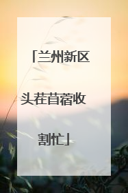 兰州新区头茬苜蓿收割忙