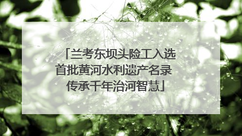 兰考东坝头险工入选首批黄河水利遗产名录 传承千年治河智慧