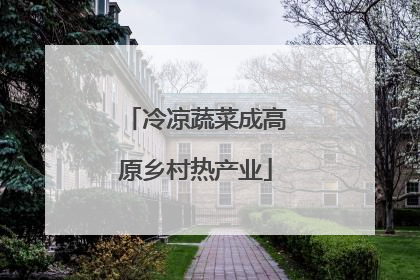 冷凉蔬菜成高原乡村热产业
