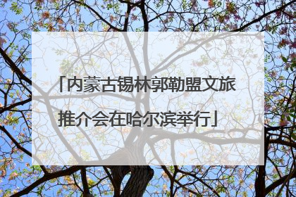 内蒙古锡林郭勒盟文旅推介会在哈尔滨举行