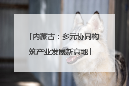 内蒙古：多元协同构筑产业发展新高地