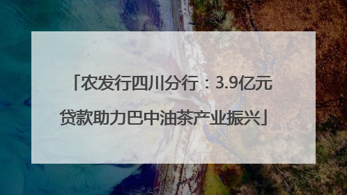 农发行四川分行：3.9亿元贷款助力巴中油茶产业振兴