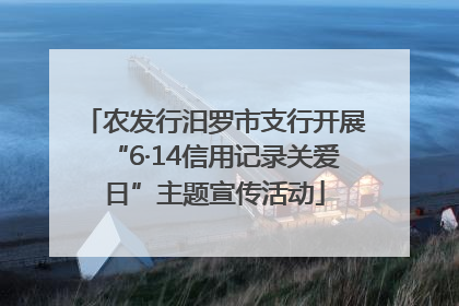 农发行汨罗市支行开展“6·14信用记录关爱日”主题宣传活动