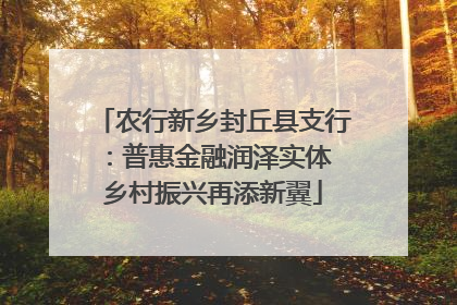 农行新乡封丘县支行：普惠金融润泽实体 乡村振兴再添新翼