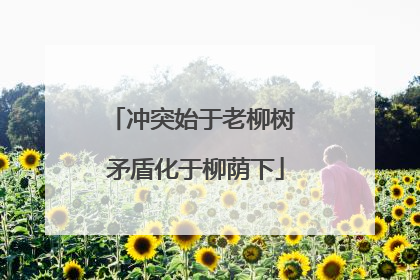 冲突始于老柳树 矛盾化于柳荫下