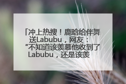 冲上热搜！鹿晗给伴舞送Labubu，网友：“不知道该羡慕他收到了Labubu，还是该羡慕鹿晗送他礼物”