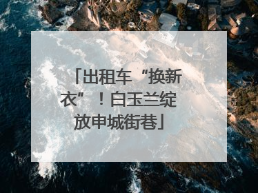 出租车“换新衣”！白玉兰绽放申城街巷