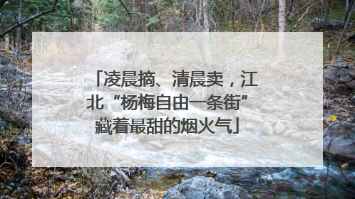 凌晨摘、清晨卖，江北“杨梅自由一条街”藏着最甜的烟火气