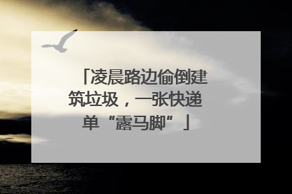 凌晨路边偷倒建筑垃圾，一张快递单“露马脚”