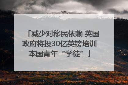 减少对移民依赖 英国政府将投30亿英镑培训本国青年“学徒”