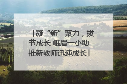 凝“新”聚力，拔节成长 峨眉一小助推新教师迅速成长