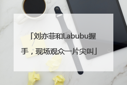 刘亦菲和Labubu握手，现场观众一片尖叫