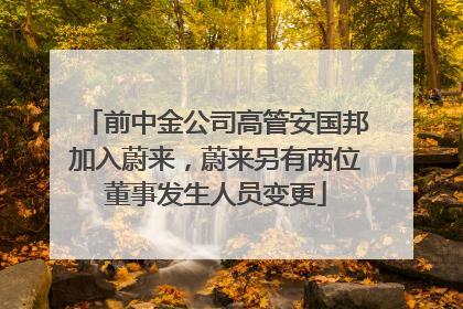 前中金公司高管安国邦加入蔚来，蔚来另有两位董事发生人员变更