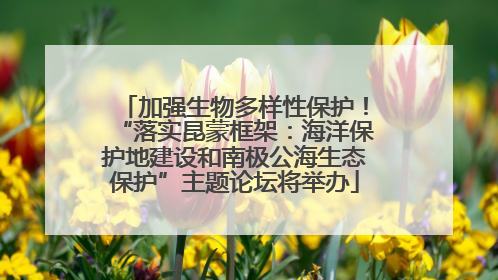 加强生物多样性保护！“落实昆蒙框架：海洋保护地建设和南极公海生态保护”主题论坛将举办