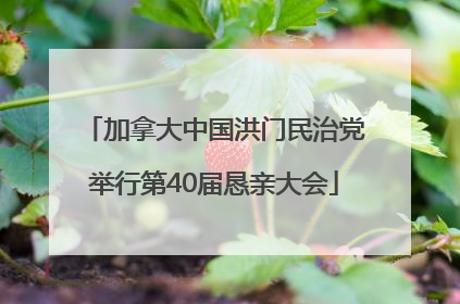 加拿大中国洪门民治党举行第40届恳亲大会