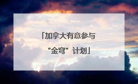 加拿大有意参与“金穹”计划