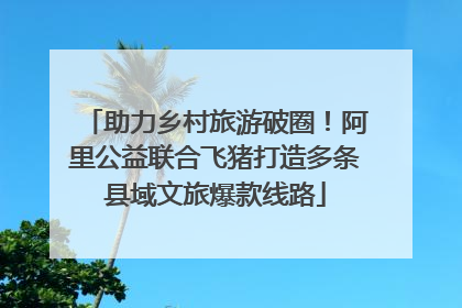 助力乡村旅游破圈！阿里公益联合飞猪打造多条县域文旅爆款线路