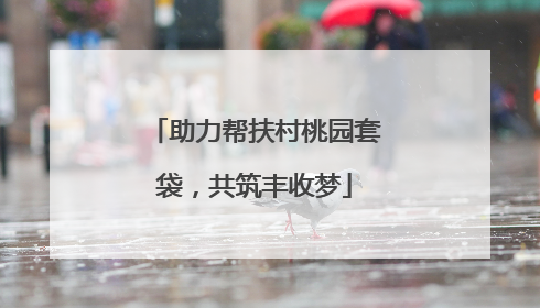助力帮扶村桃园套袋，共筑丰收梦