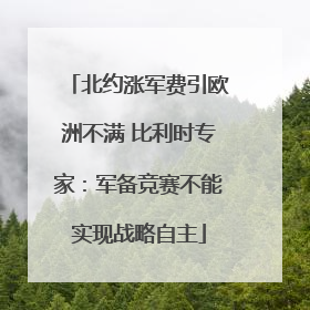 北约涨军费引欧洲不满 比利时专家：军备竞赛不能实现战略自主