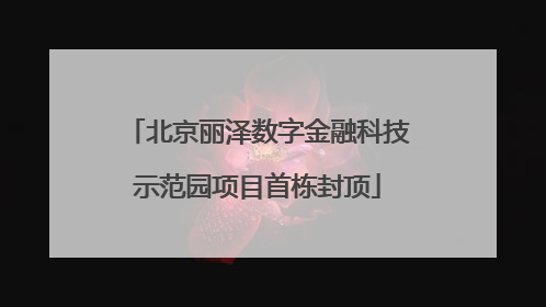 北京丽泽数字金融科技示范园项目首栋封顶