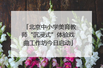 北京中小学美育教师“沉浸式”体验戏曲工作坊今日启动