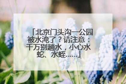 北京门头沟一公园被水淹了？请注意：千万别趟水，小心水蛇、水蛭……
