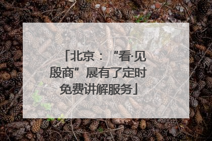 北京：“看·见殷商”展有了定时免费讲解服务