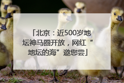北京：近500岁地坛神马圈开放，网红“地坛的海”邀您尝