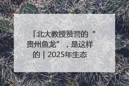 北大教授赞誉的“贵州鱼龙”，是这样的｜2025年生态文明贵阳国际论坛