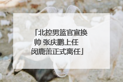 北控男篮官宣换帅 张庆鹏上任 闵鹿蕾正式离任