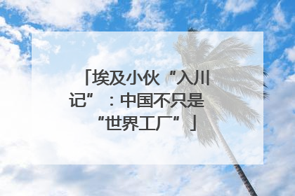 埃及小伙“入川记”：中国不只是“世界工厂”