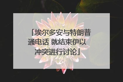 埃尔多安与特朗普通电话 就结束伊以冲突进行讨论