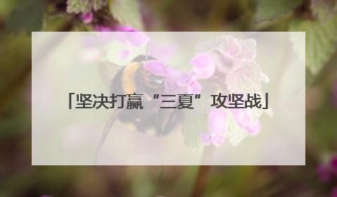 坚决打赢“三夏”攻坚战