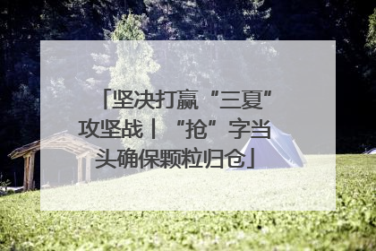坚决打赢“三夏”攻坚战丨“抢”字当头确保颗粒归仓