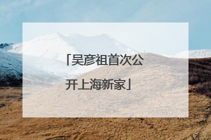 吴彦祖首次公开上海新家