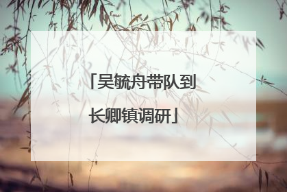吴毓舟带队到长卿镇调研