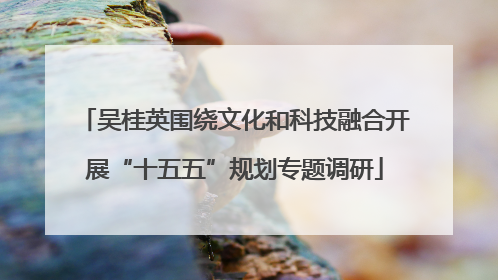 吴桂英围绕文化和科技融合开展“十五五”规划专题调研