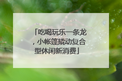 吃喝玩乐一条龙，小帐篷撬动复合型休闲新消费