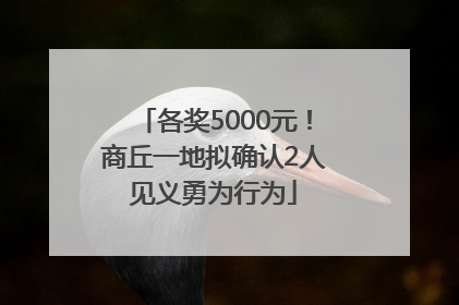 各奖5000元！商丘一地拟确认2人见义勇为行为
