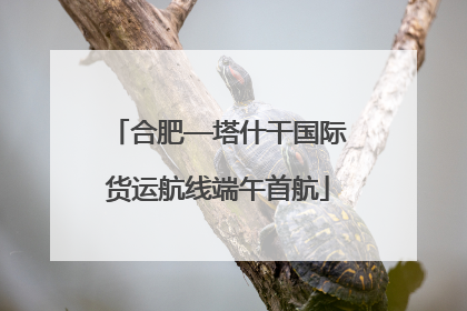合肥—塔什干国际货运航线端午首航