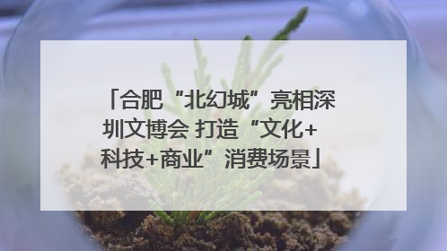 合肥“北幻城”亮相深圳文博会 打造“文化+科技+商业”消费场景