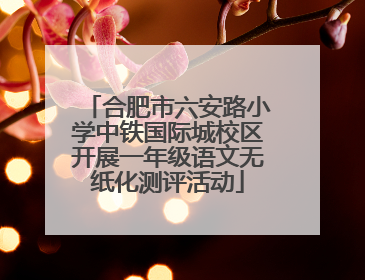 合肥市六安路小学中铁国际城校区开展一年级语文无纸化测评活动