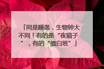 同是睡莲，生物钟大不同！有的是“夜猫子”，有的“值白班”