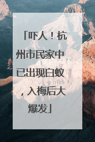 吓人！杭州市民家中已出现白蚁，入梅后大爆发